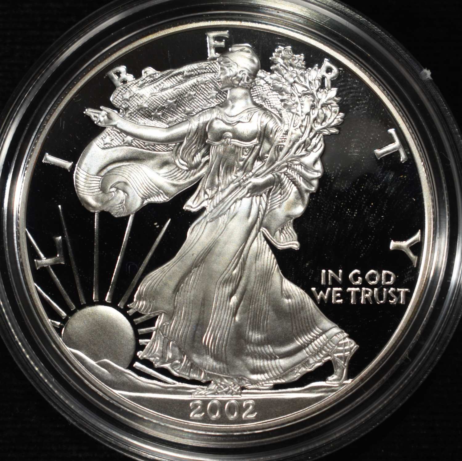2002-W AMERICAN SILVER EAGLE PROOF