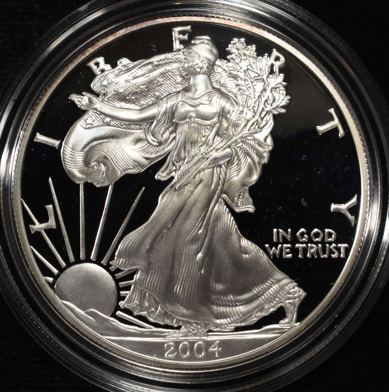 2004-W AMERICAN SILVER EAGLE PROOF