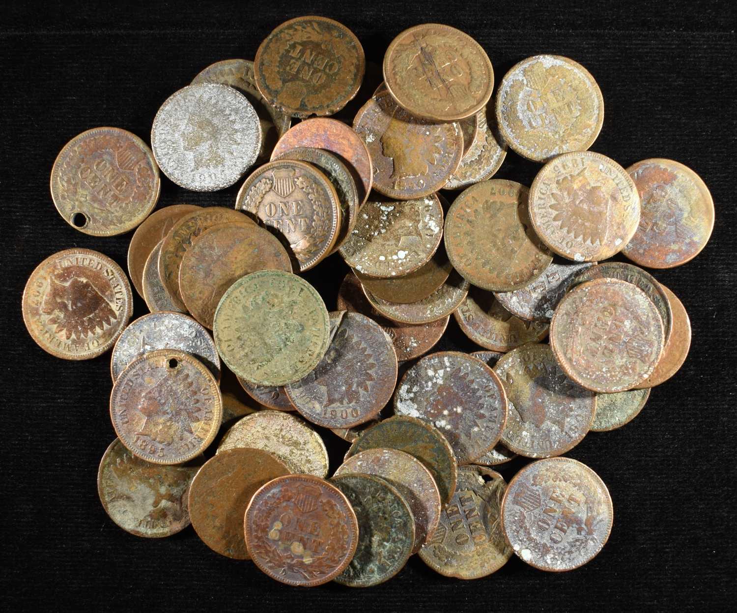 (50) INDIAN HEAD CENTS