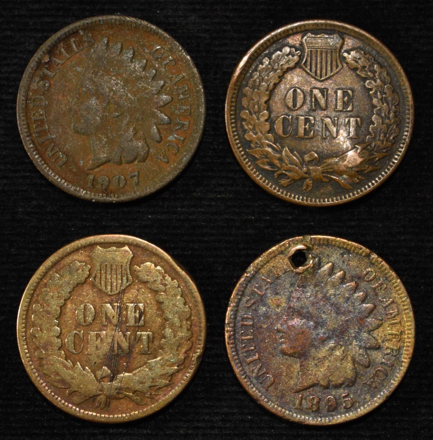 (50) INDIAN HEAD CENTS