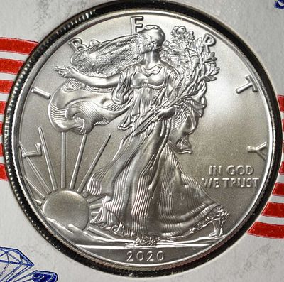 2020 AMERICAN SILVER EAGLE. LEADERS IN ON-LINE AUCTIONS ESTIMATE $90 - $130.