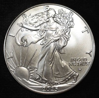 2025 AMERICAN SILVER EAGLE. LEADERS IN ON-LINE AUCTIONS ESTIMATE $90 - $130.