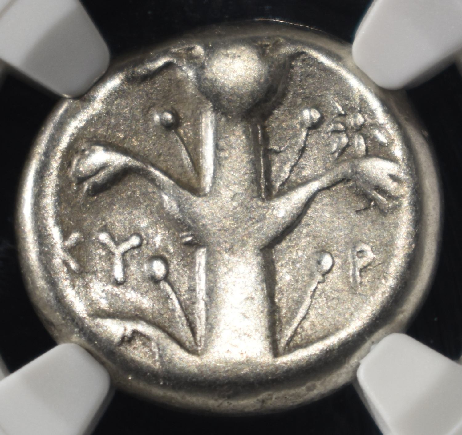 c.308-277 BC AR DIDRACHM NGC F