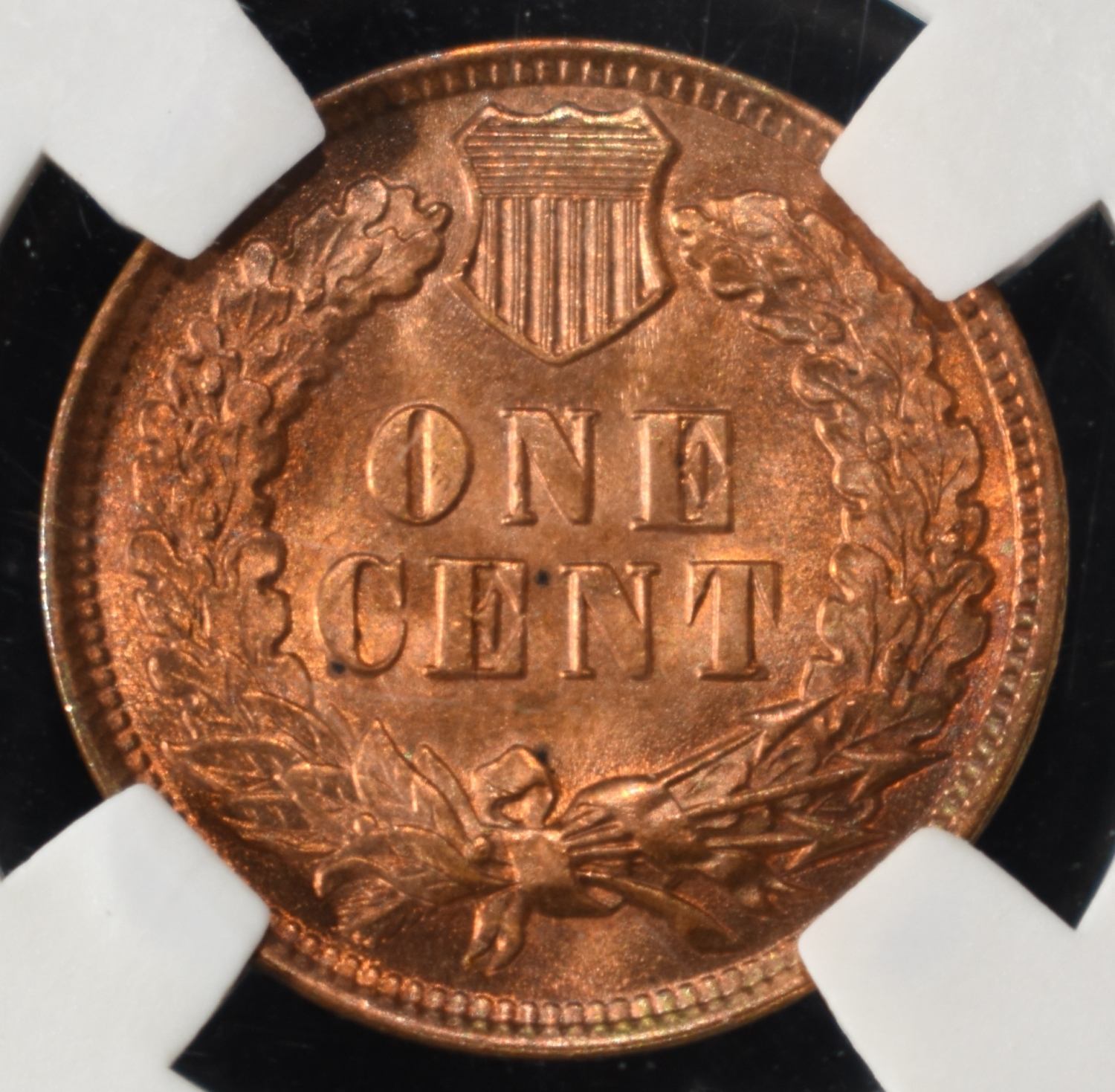 1901 INDIAN CENT PGA GEM BU RED