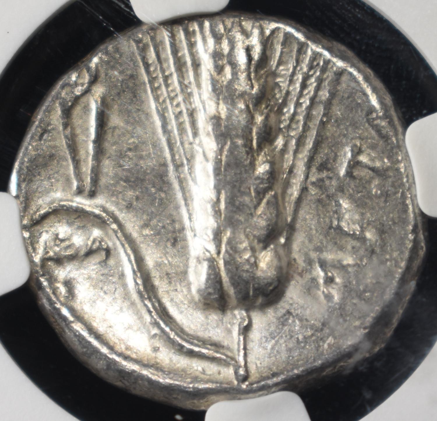 c.330-280 BC LUCANIA, METAPONTUM AR STATER NGC VF