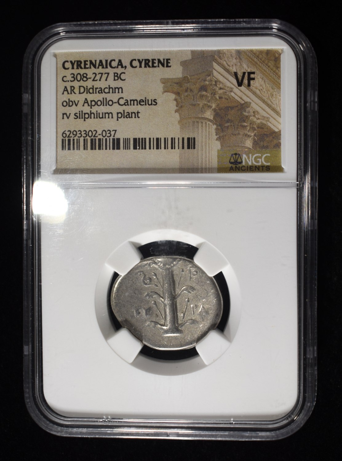 c.308-277 BC AR DIDRACHM NGC VF