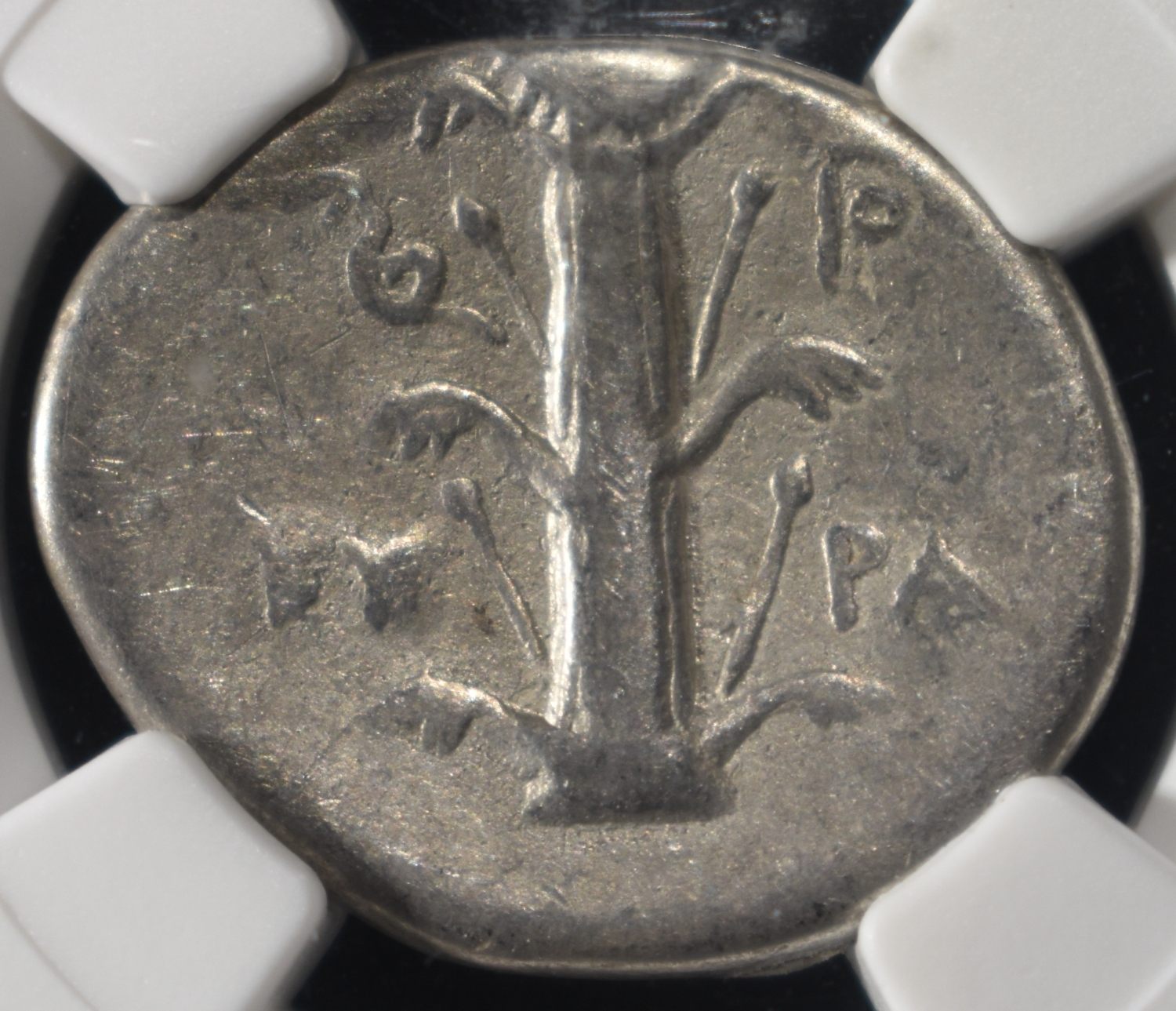 c.308-277 BC AR DIDRACHM NGC VF