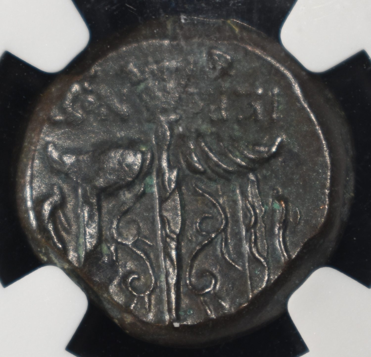 c.275-215 BC HIERON II SICILY, SYRACUSE AE NGC XF