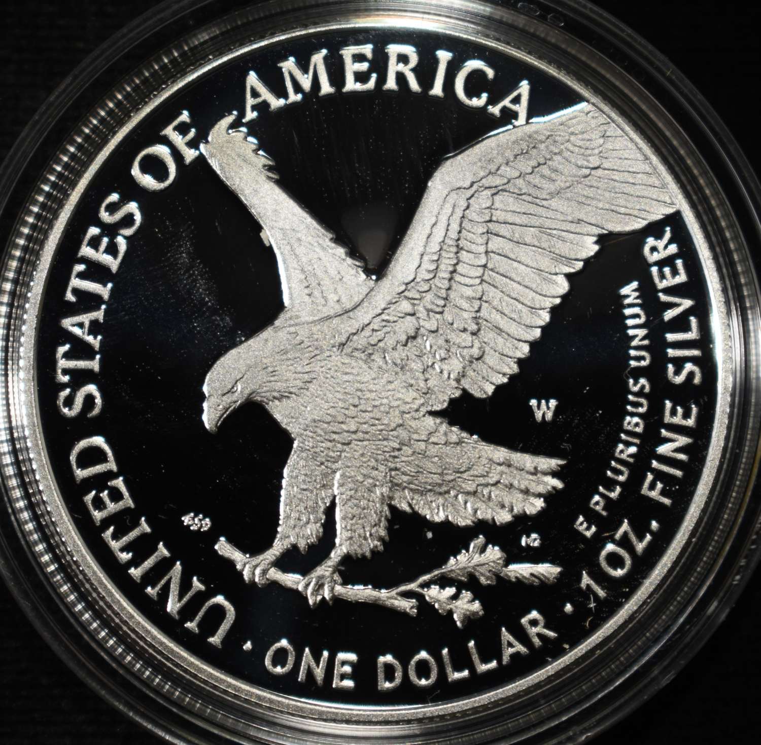2023-W AMERICAN SILVER EAGLE PROOF