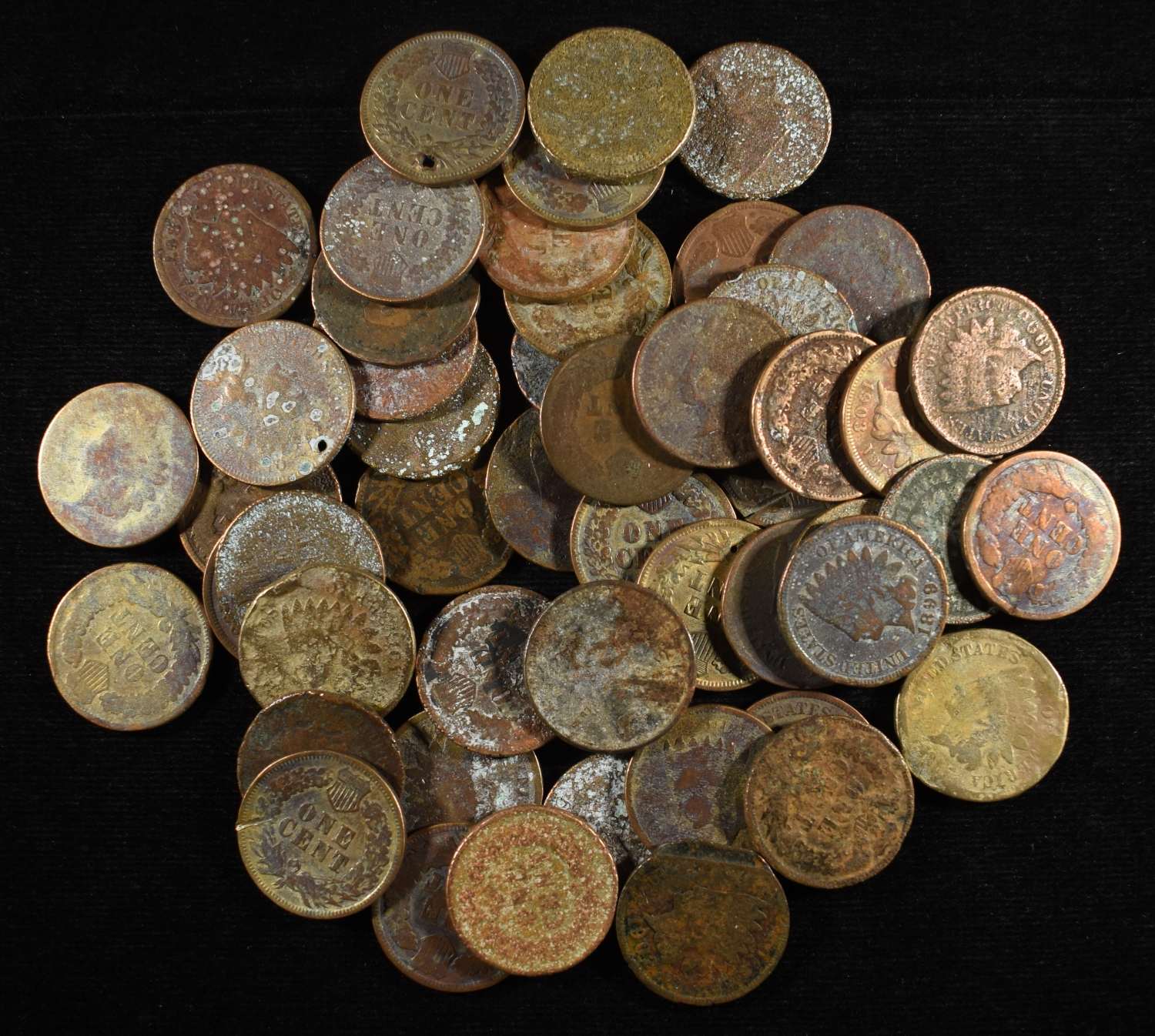 (50) INDIAN HEAD CENTS