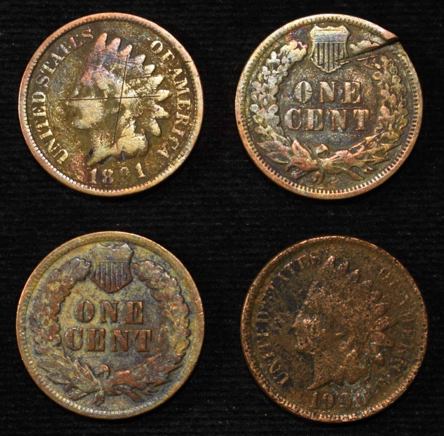 (50) INDIAN HEAD CENTS