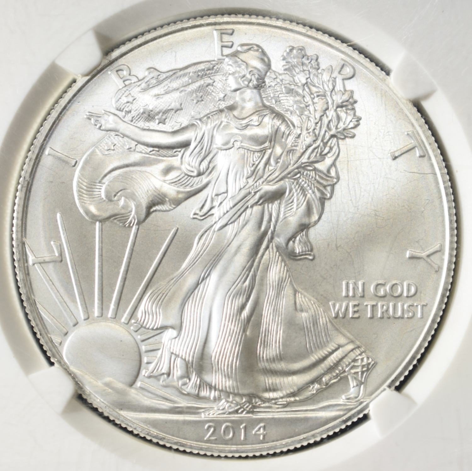 2014 AMERICAN SILVER EAGLE NGC MS69 FR
