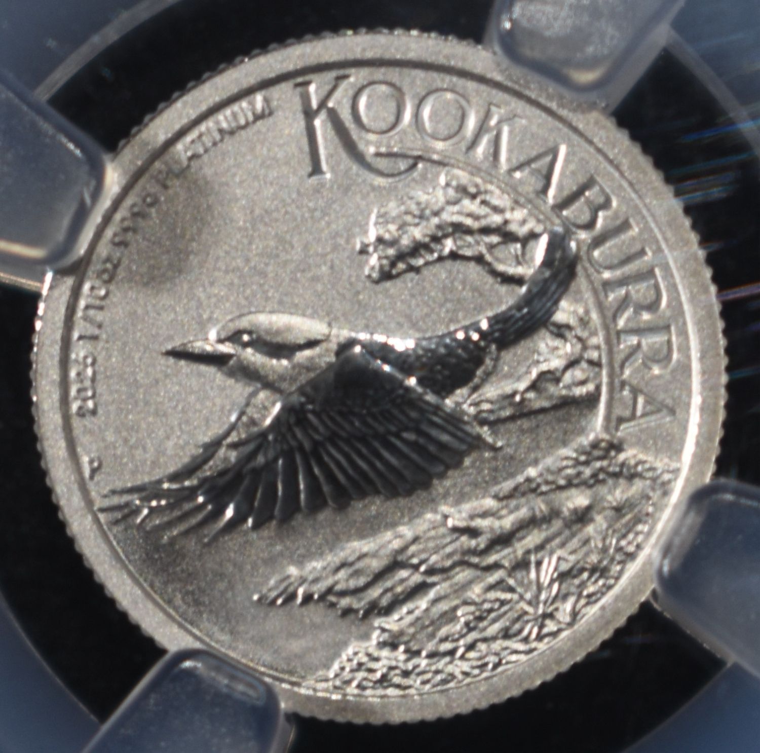 2026P 1/10 OZ PLATINUM KOOKABURRA NGC MS-70
