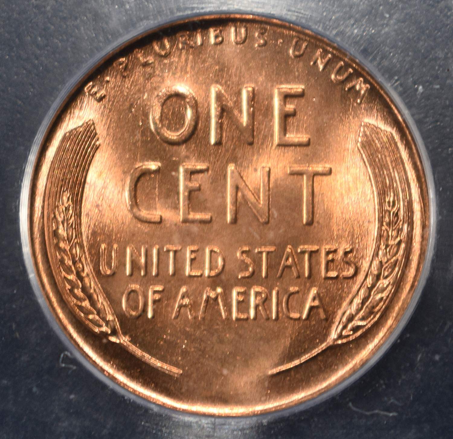 1955 WHEAT CENT ICG MS67RD