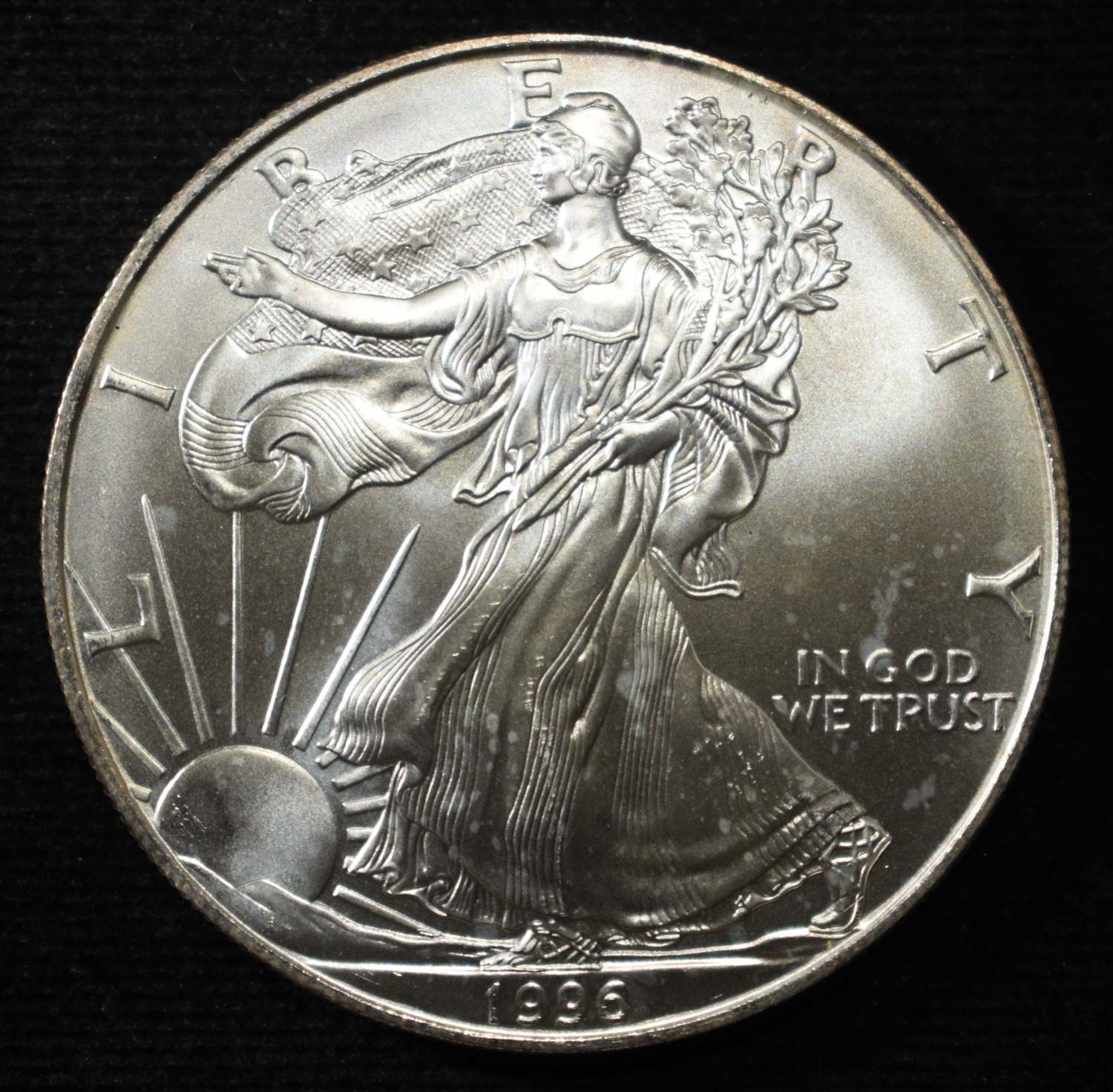 1996 SILVER EAGLE BU