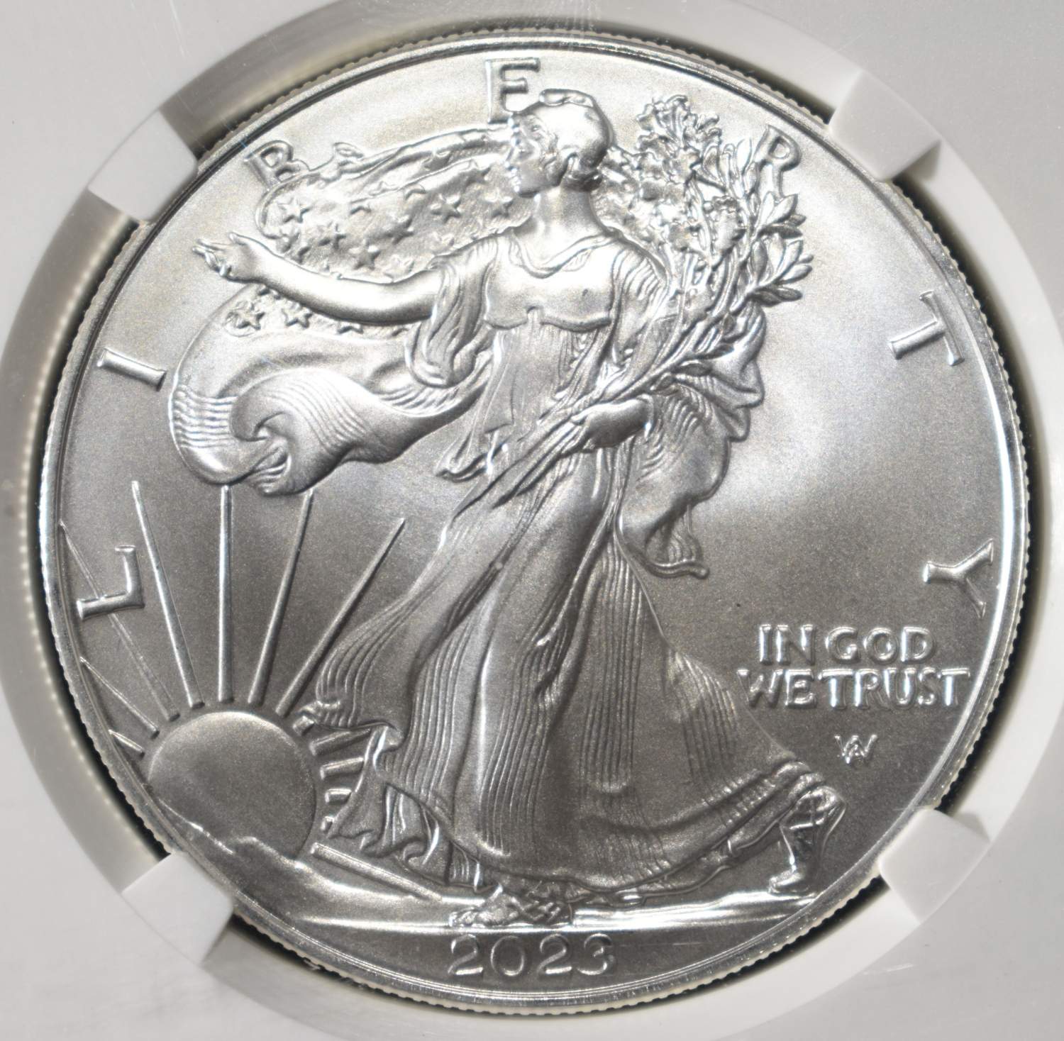 2023 AMERICAN SILVER EAGLE NGC MS70 FDI
