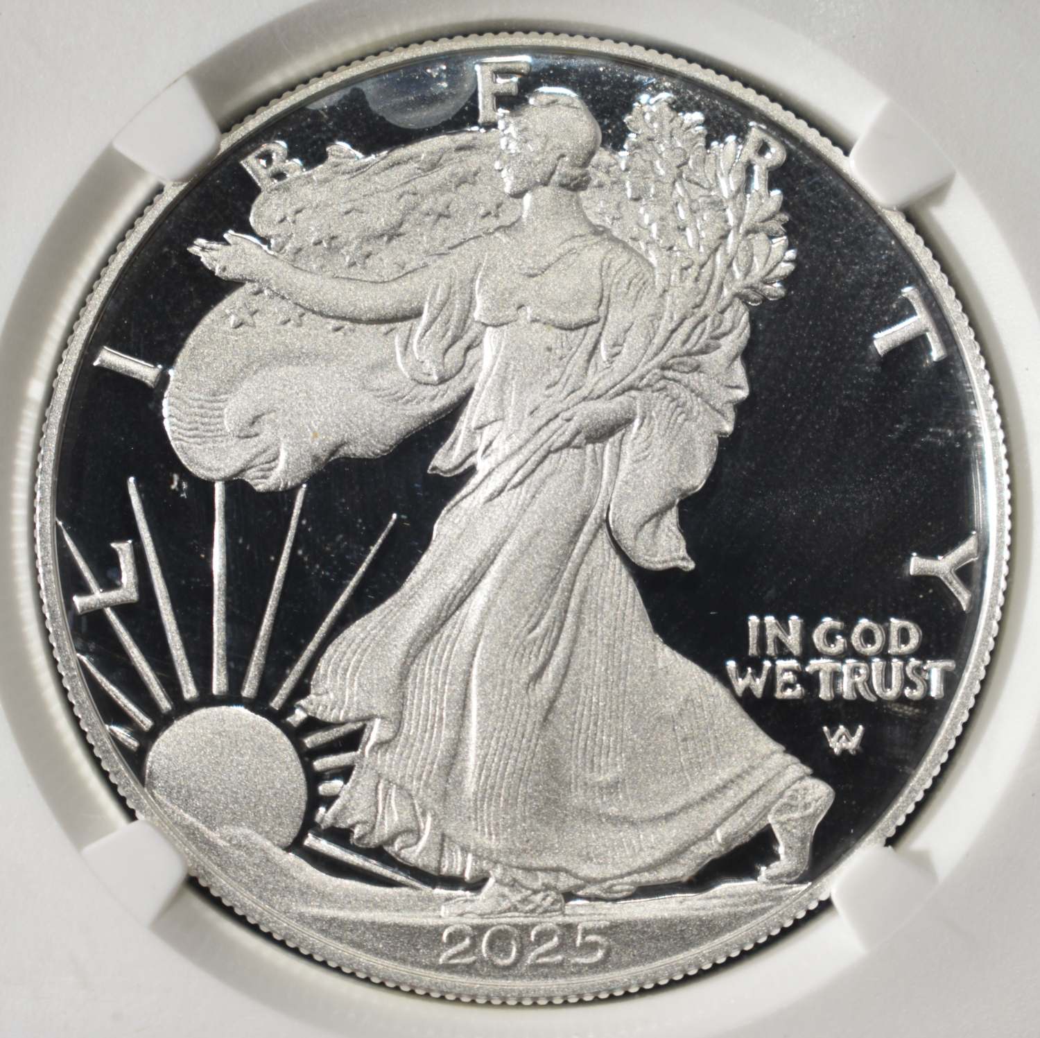 2025-W AMERICAN SILVER EAGLE FUN NGC PF70 UCAM