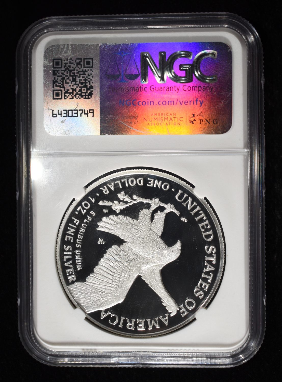 2025-W AMERICAN SILVER EAGLE FUN NGC PF70 UCAM