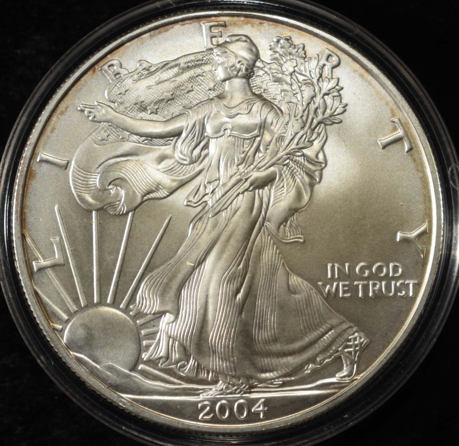 2004 AMERICAN SILVER EAGLE