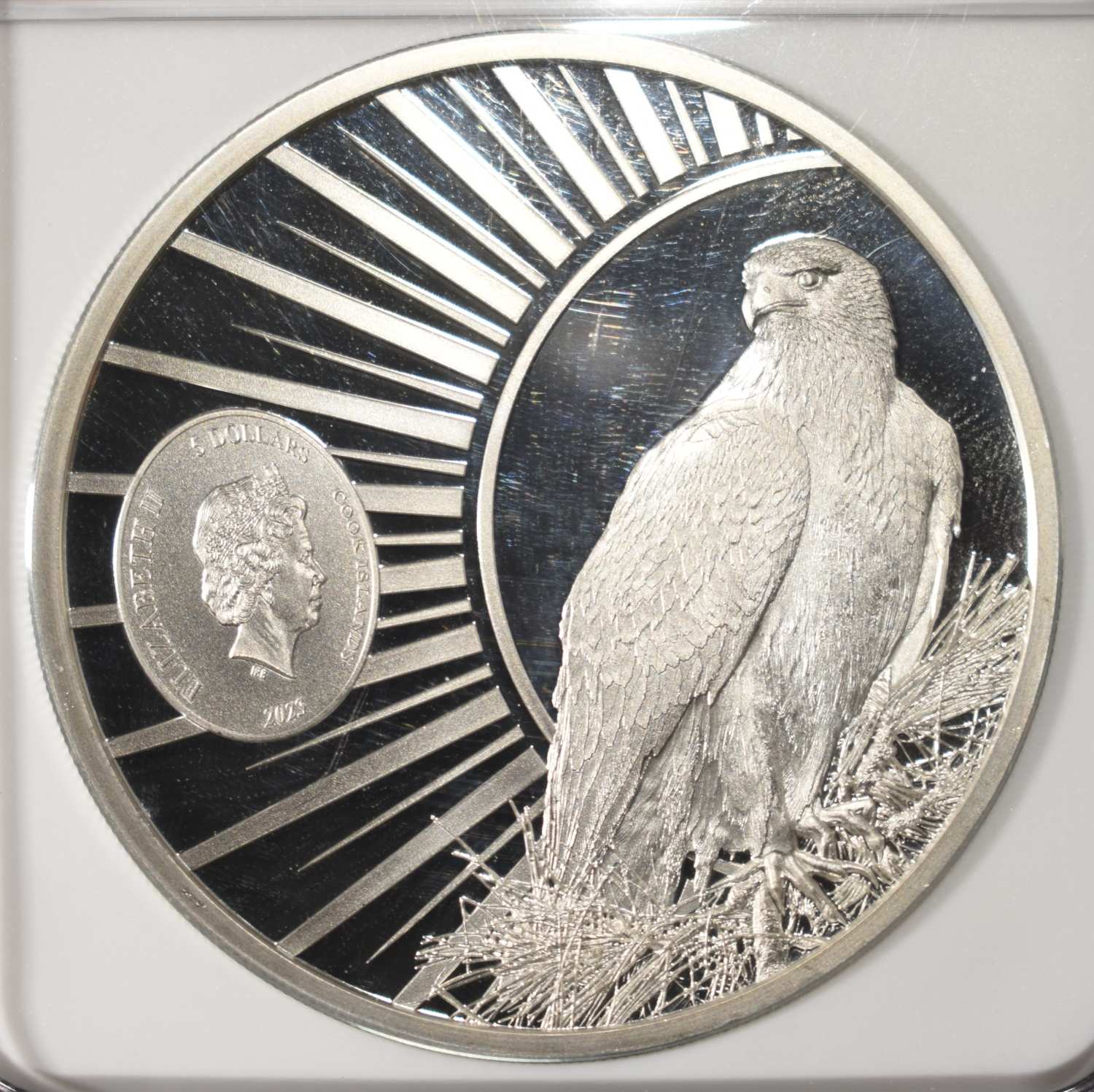 2023 COOK ISLANDS SILVER BARN OWL NGC PF70 UCAM
