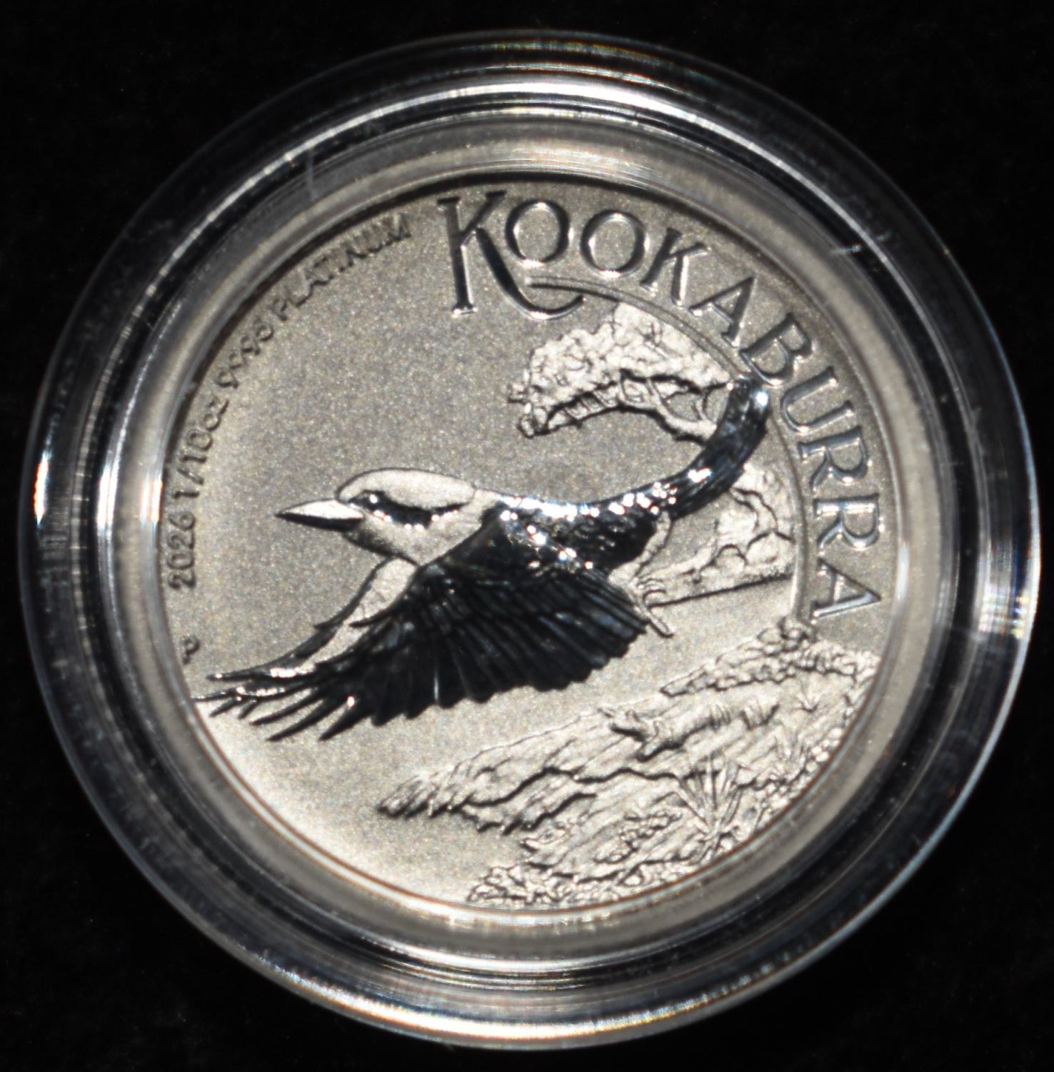 2026 KOOKABURRA 1/10 OZ .9995 PLATINUM