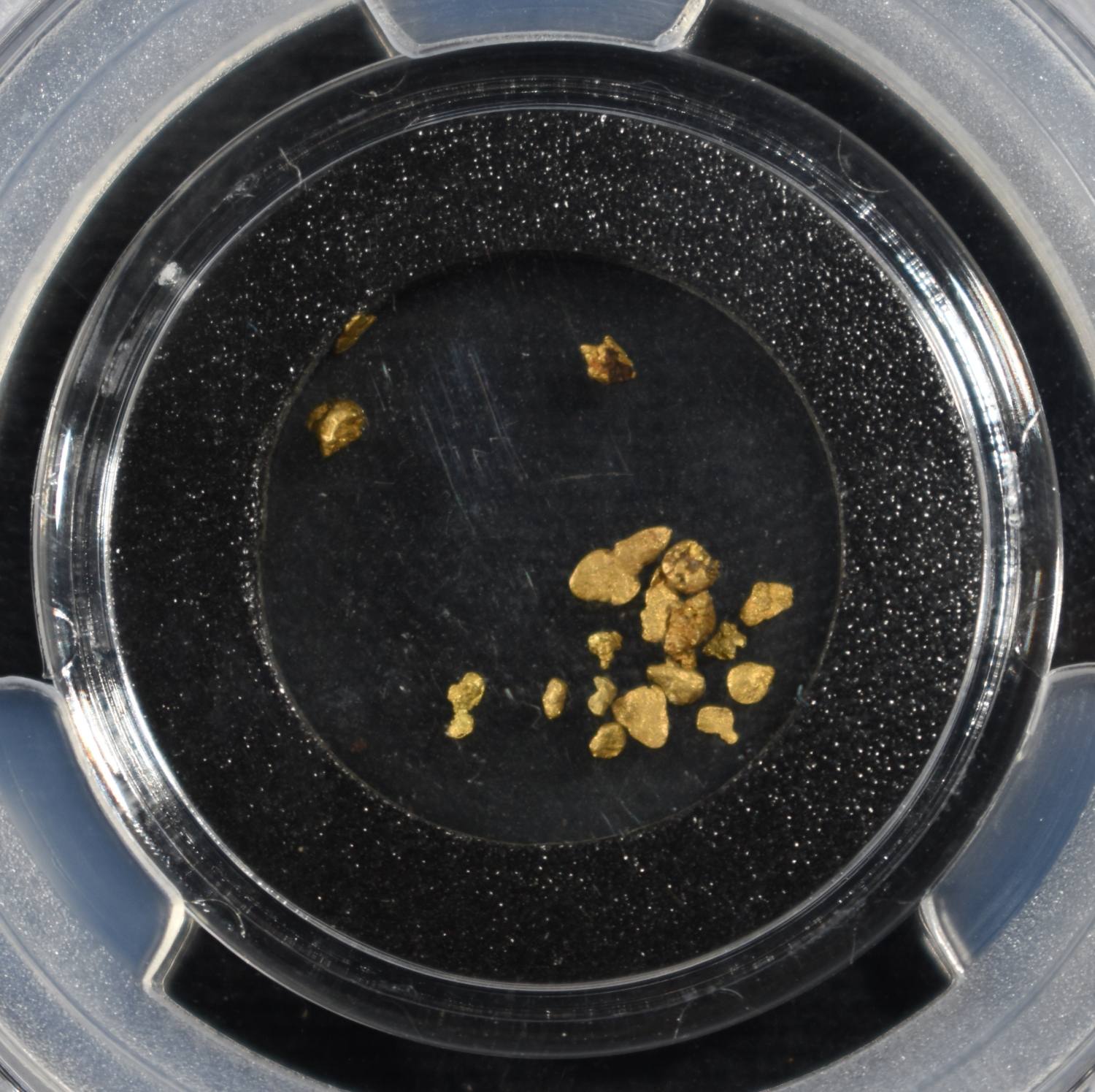 CALIFORNIA GOLD RUSH PINCH PGCS