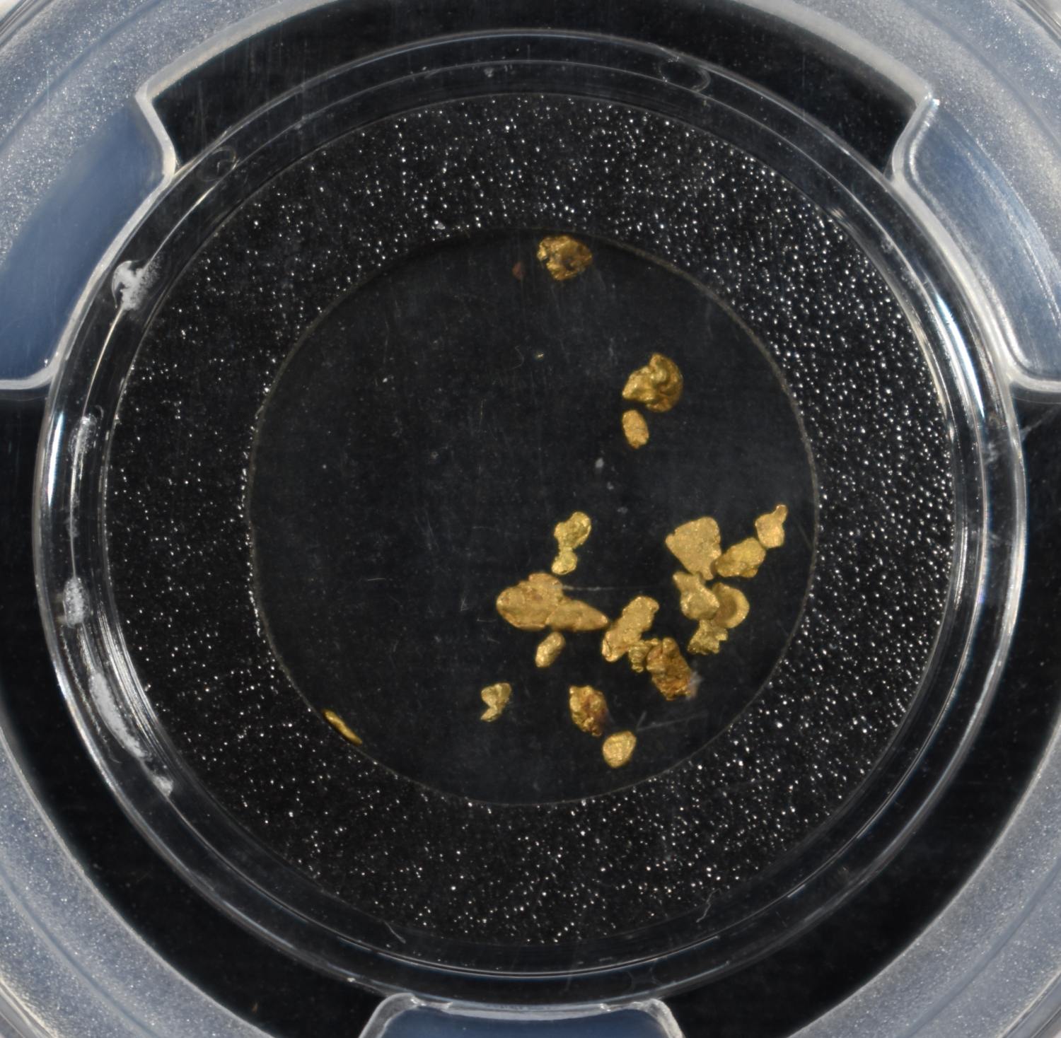 CALIFORNIA GOLD RUSH PINCH PGCS