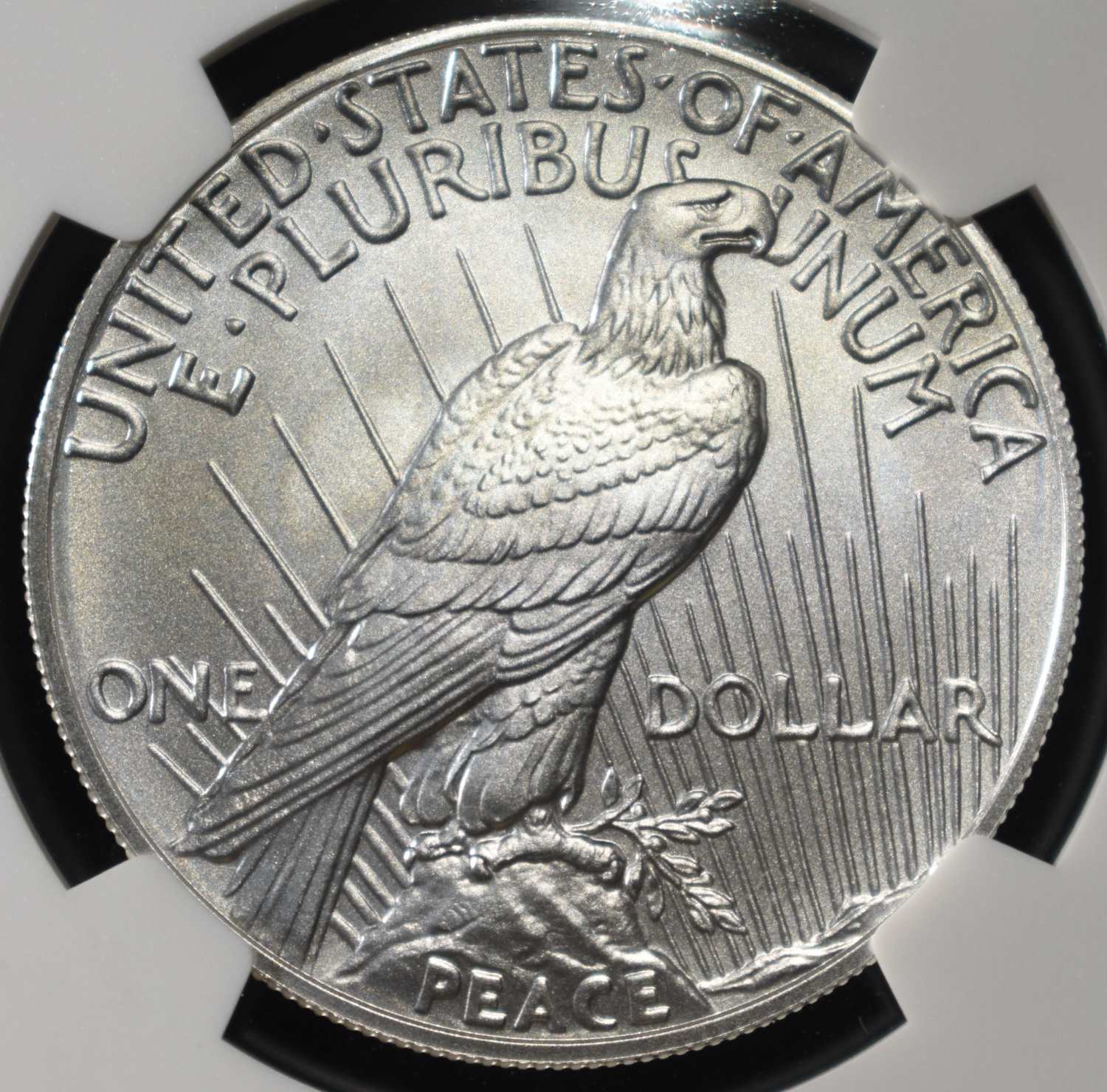 2024 PEACE DOLLAR NGC MS70 EARLY RELEASES