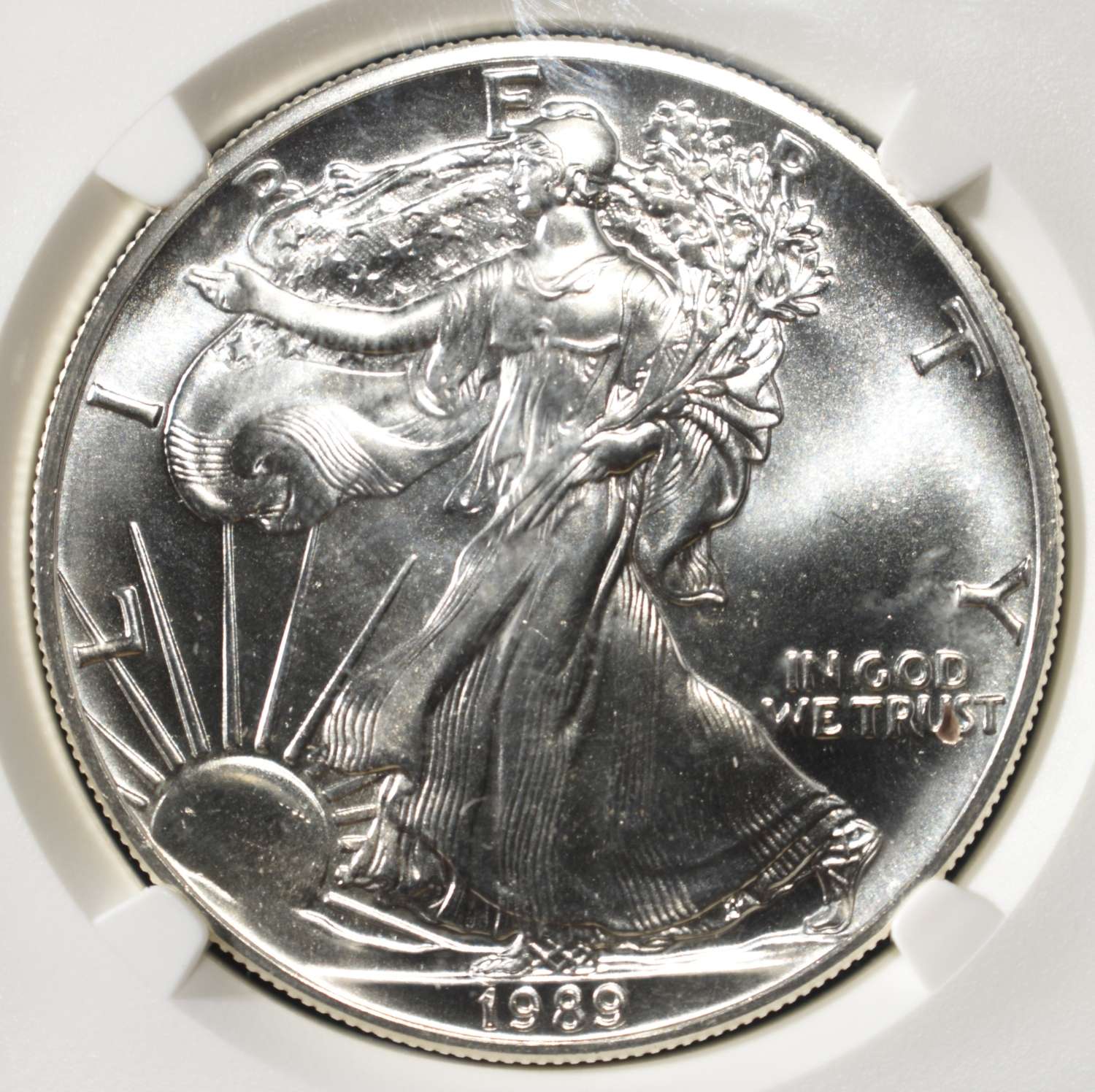 1989 AMERICAN SILVER EAGLE NGC MS69