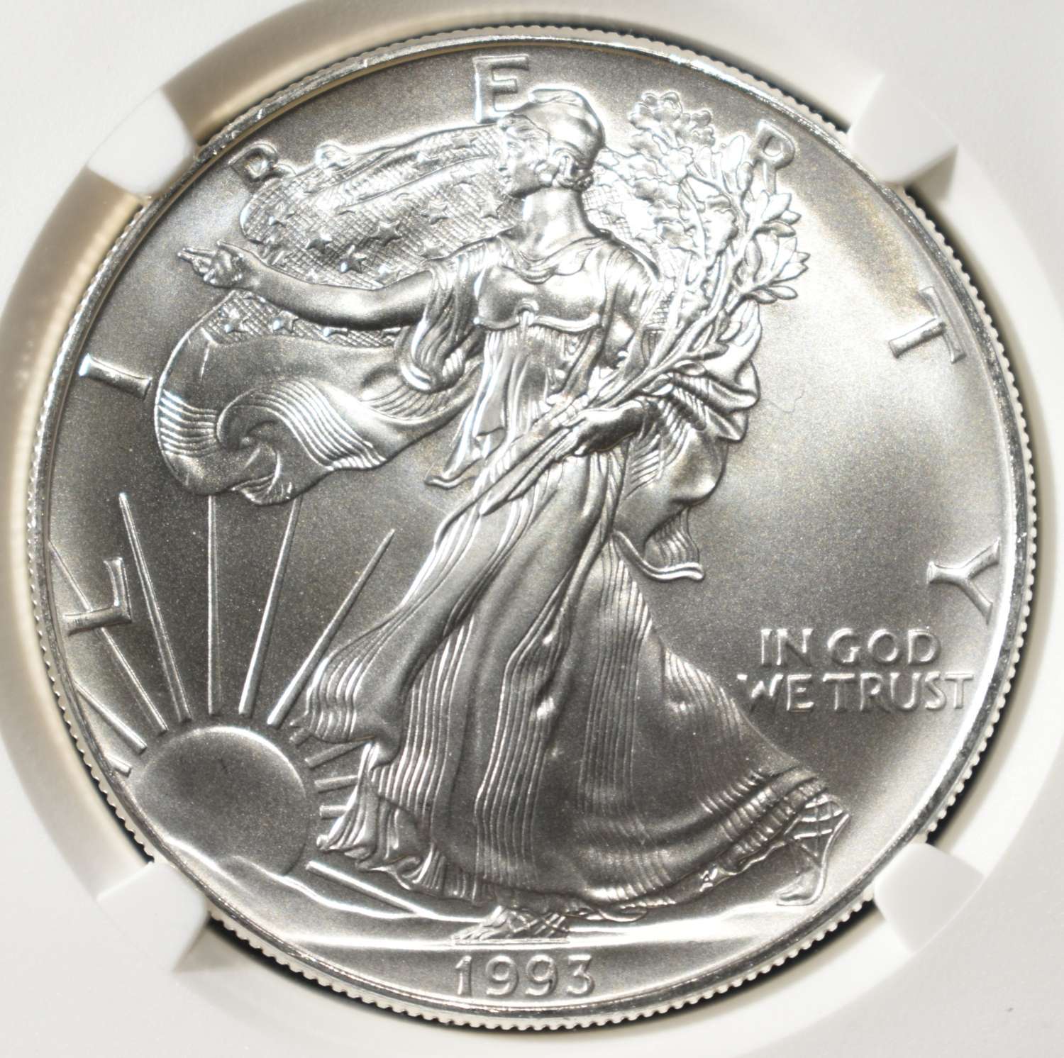 1993 AMERICAN SILVER EAGLE NGC MS69