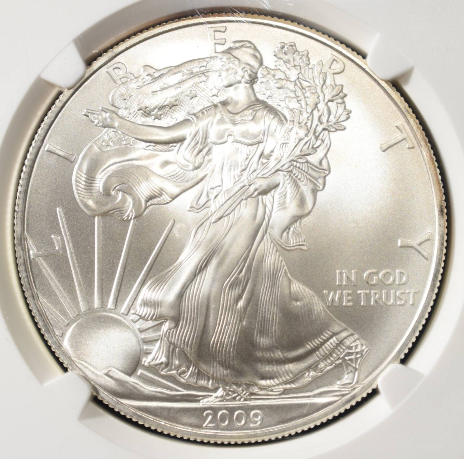 2009 AMERICAN SILVER EAGLE NGC MS69