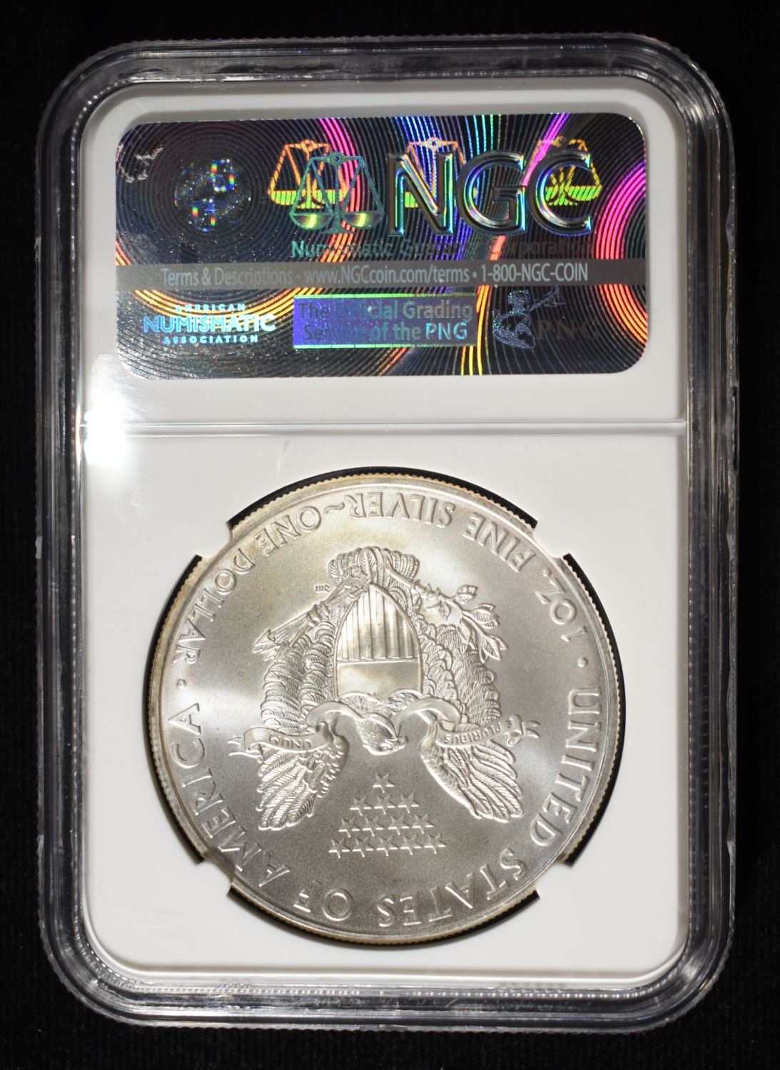 2009 AMERICAN SILVER EAGLE NGC MS69