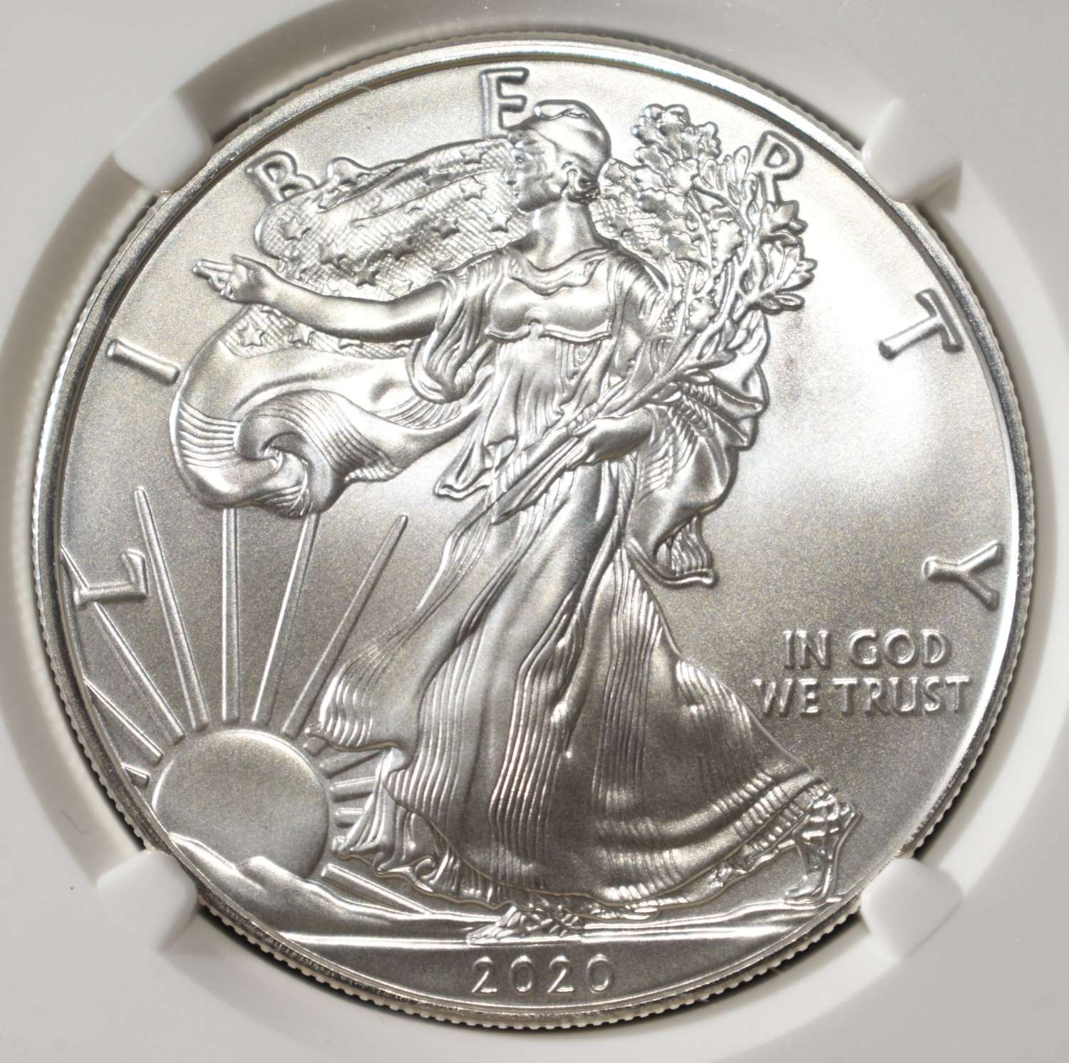 2020 AMERICAN SILVER EAGLE NGC MS69
