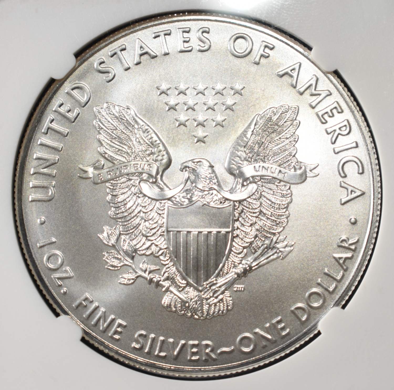 2020 AMERICAN SILVER EAGLE NGC MS69