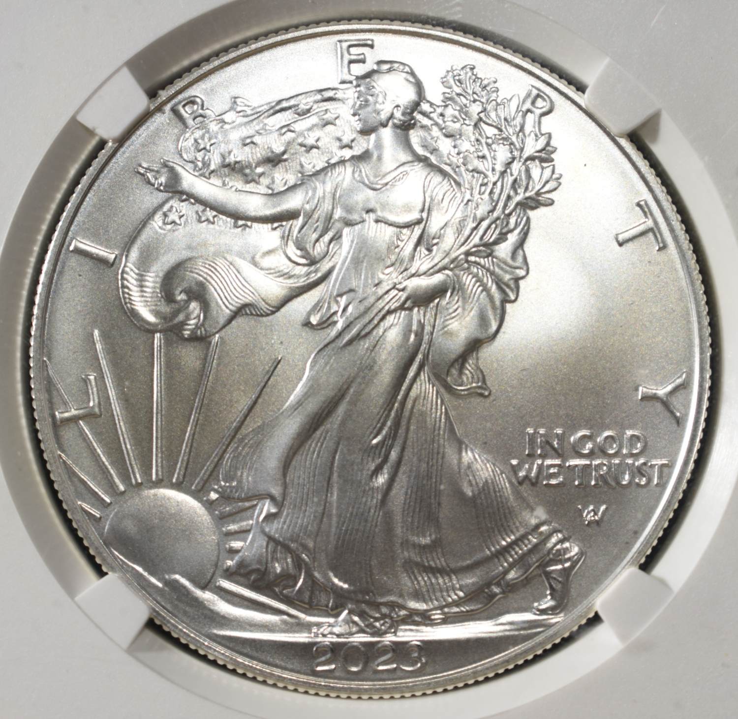 2023 AMERICAN SILVER EAGLE MS70 NGC DON EVERHART