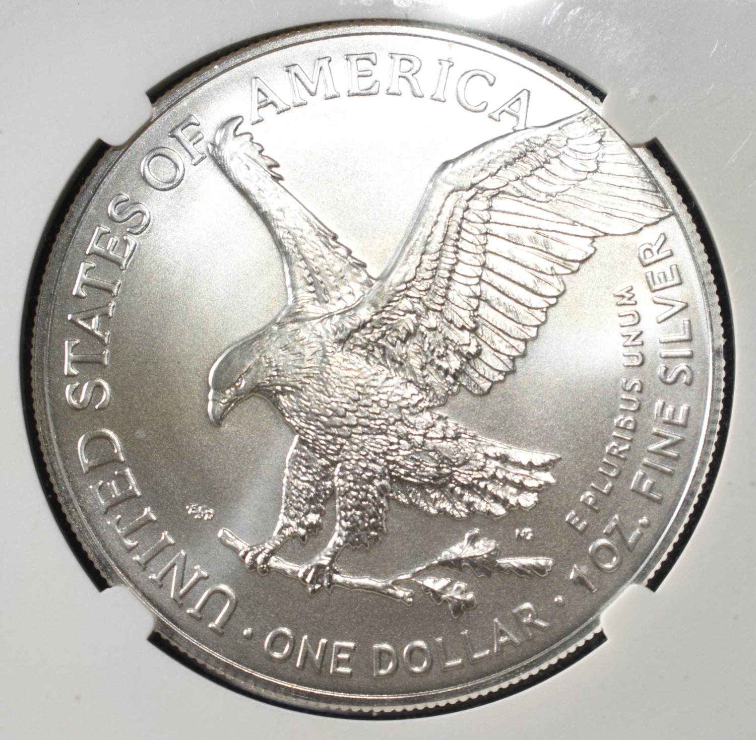 2023 AMERICAN SILVER EAGLE MS70 NGC DON EVERHART