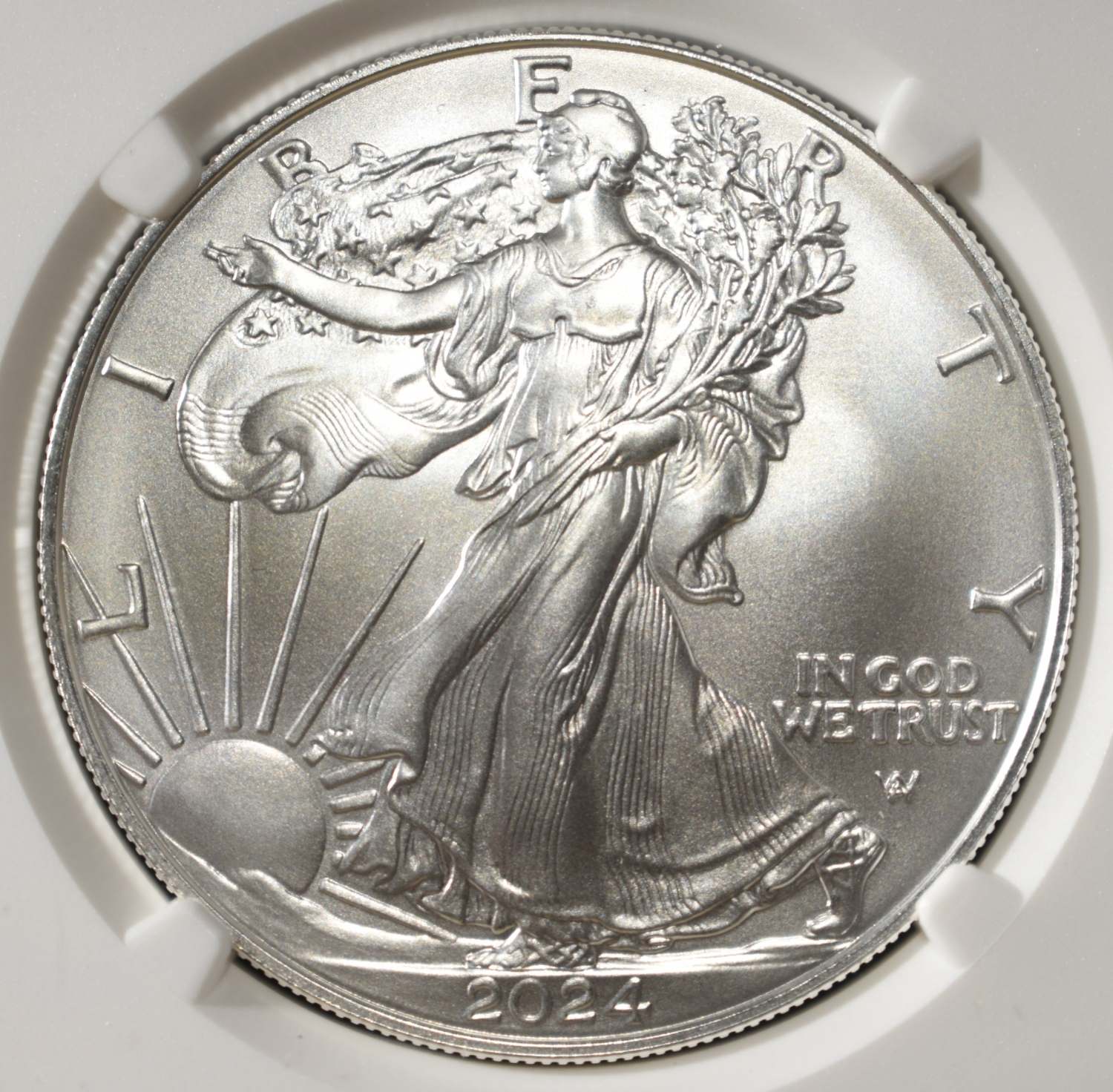 2024 AMERICAN SILVER EAGLE NGC MS69