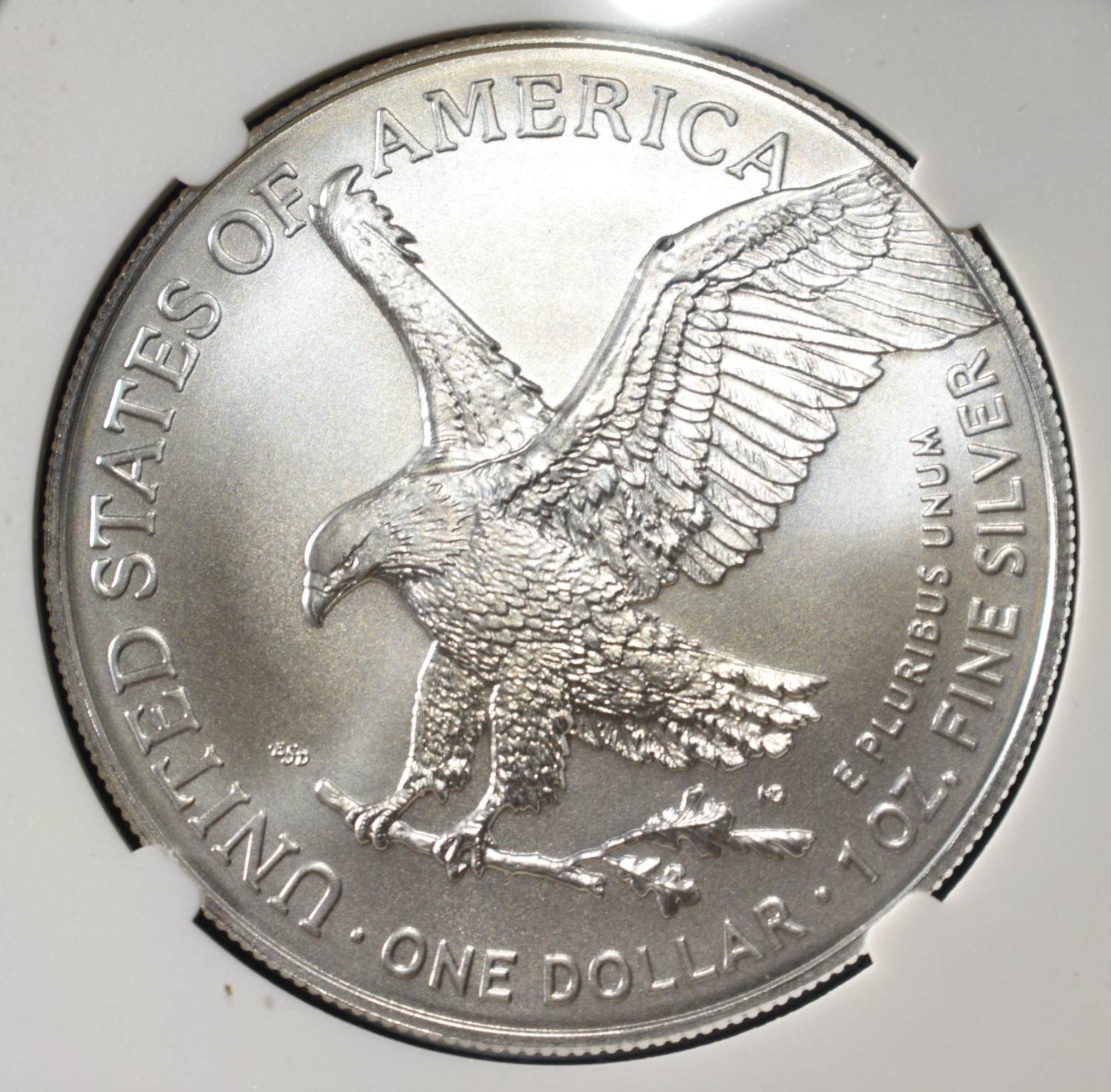 2024 AMERICAN SILVER EAGLE NGC MS69