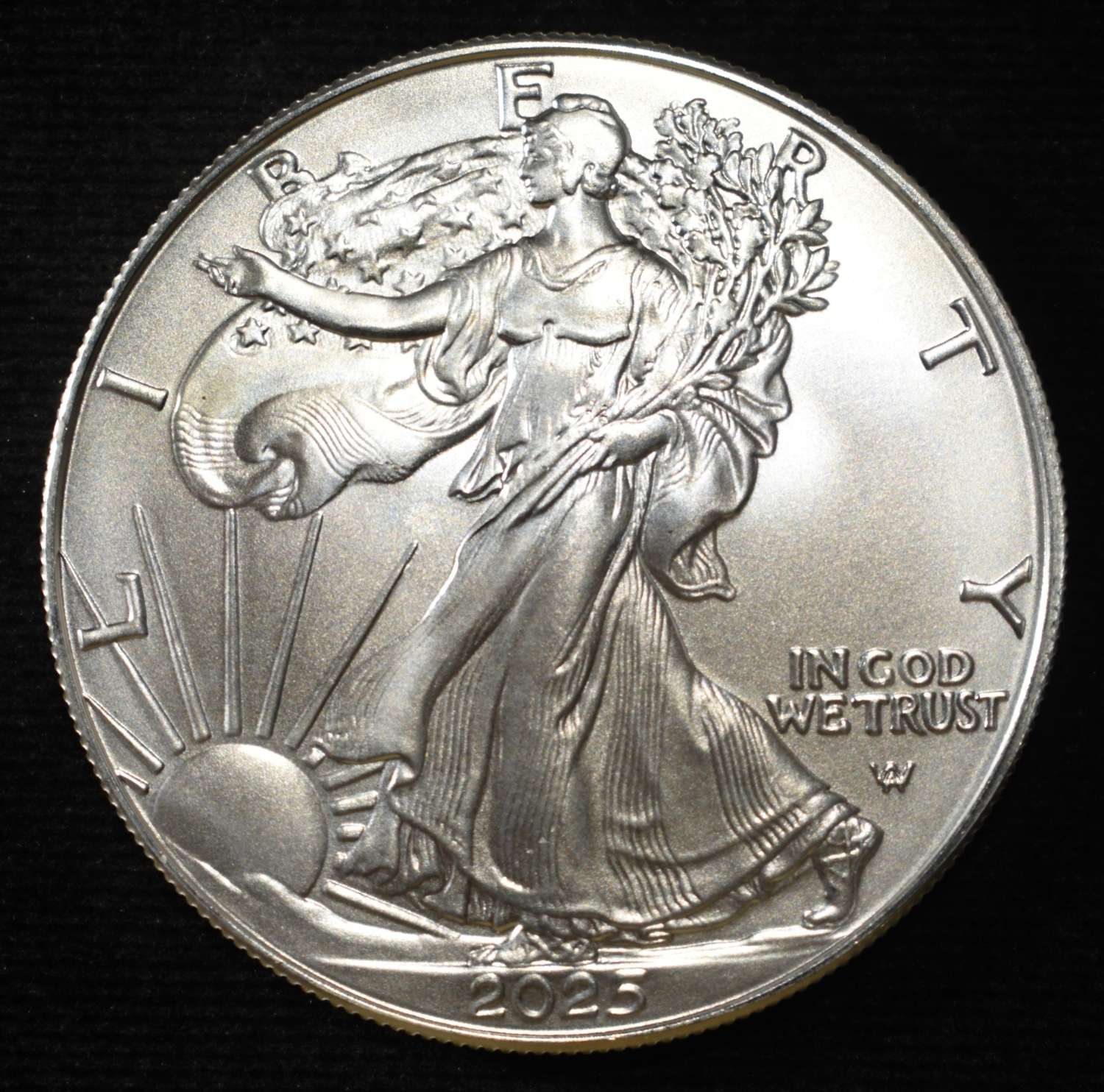 2025 AMERICAN SILVER EAGLE