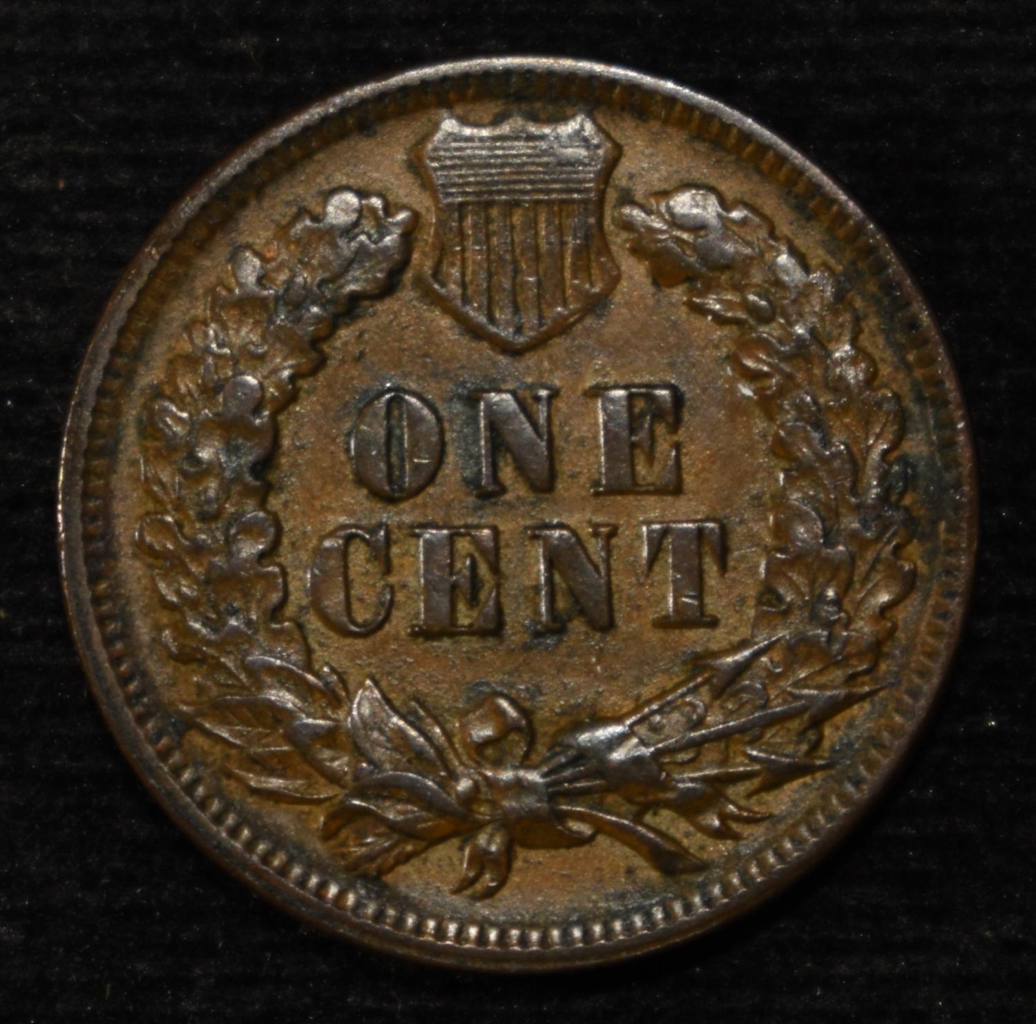1895 INDIAN CENT CH ORIG UNC