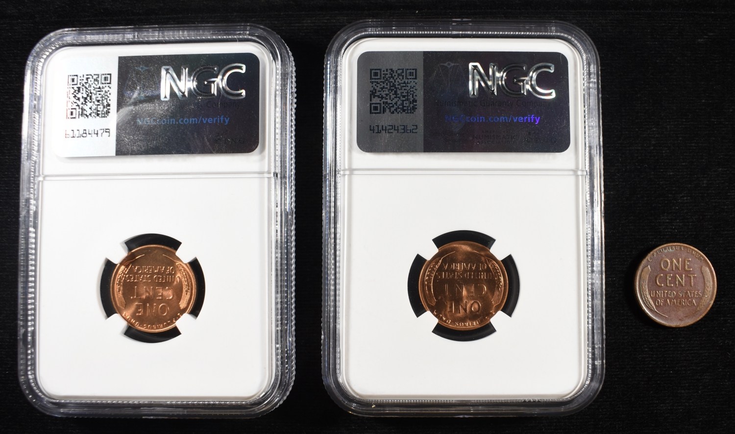 (3) WHEAT CENTS