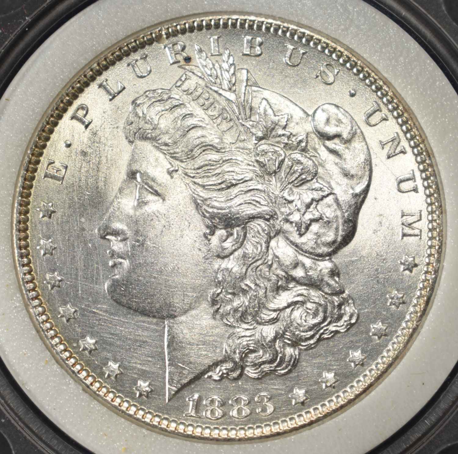 1883 MORGAN DOLLAR PNC SUPERB GEM BU