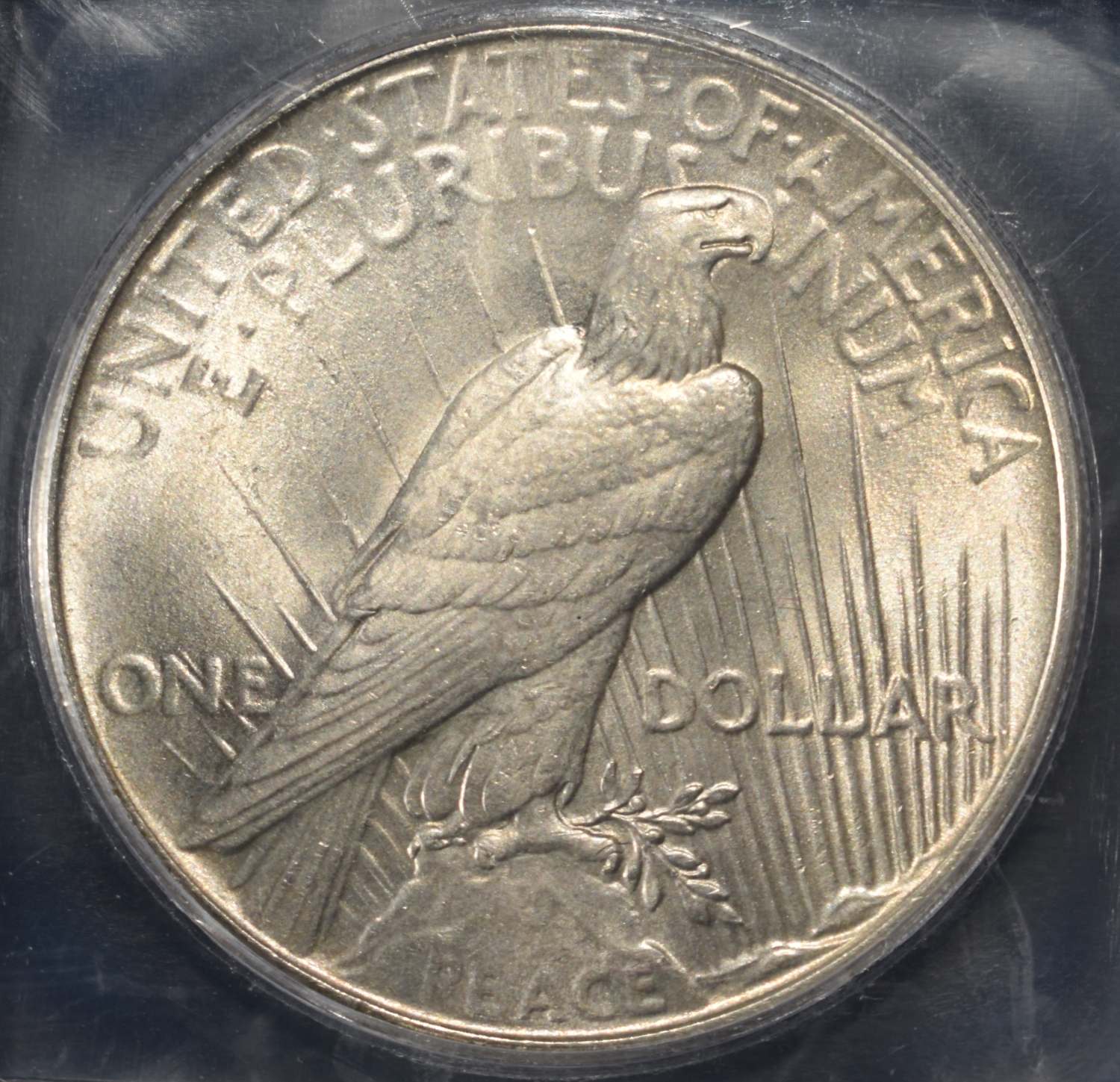 1934 PEACE DOLLAR ICG MS62
