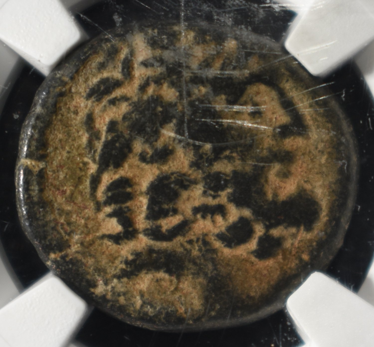 SYRIA, ANTIOCH 1ST CENTURY BC, AE20 NGC