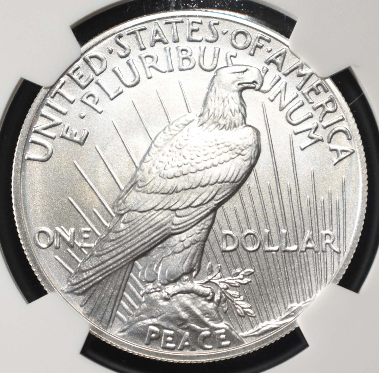 2024 PEACE DOLLAR NGC MS70 EARLY RELEASES