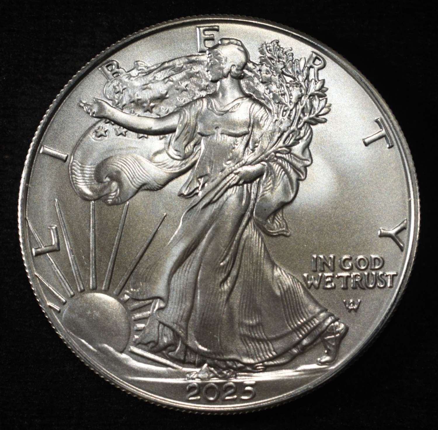 2025 AMERICAN SILVER EAGLE