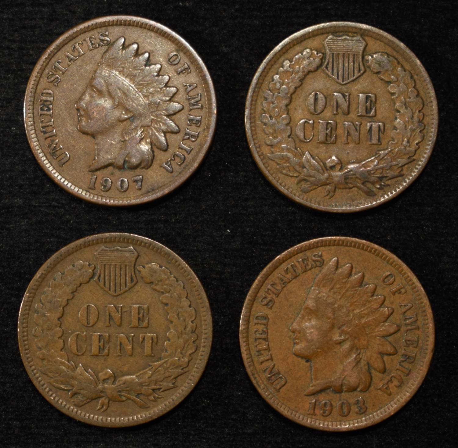 (50) INDIAN CENTS