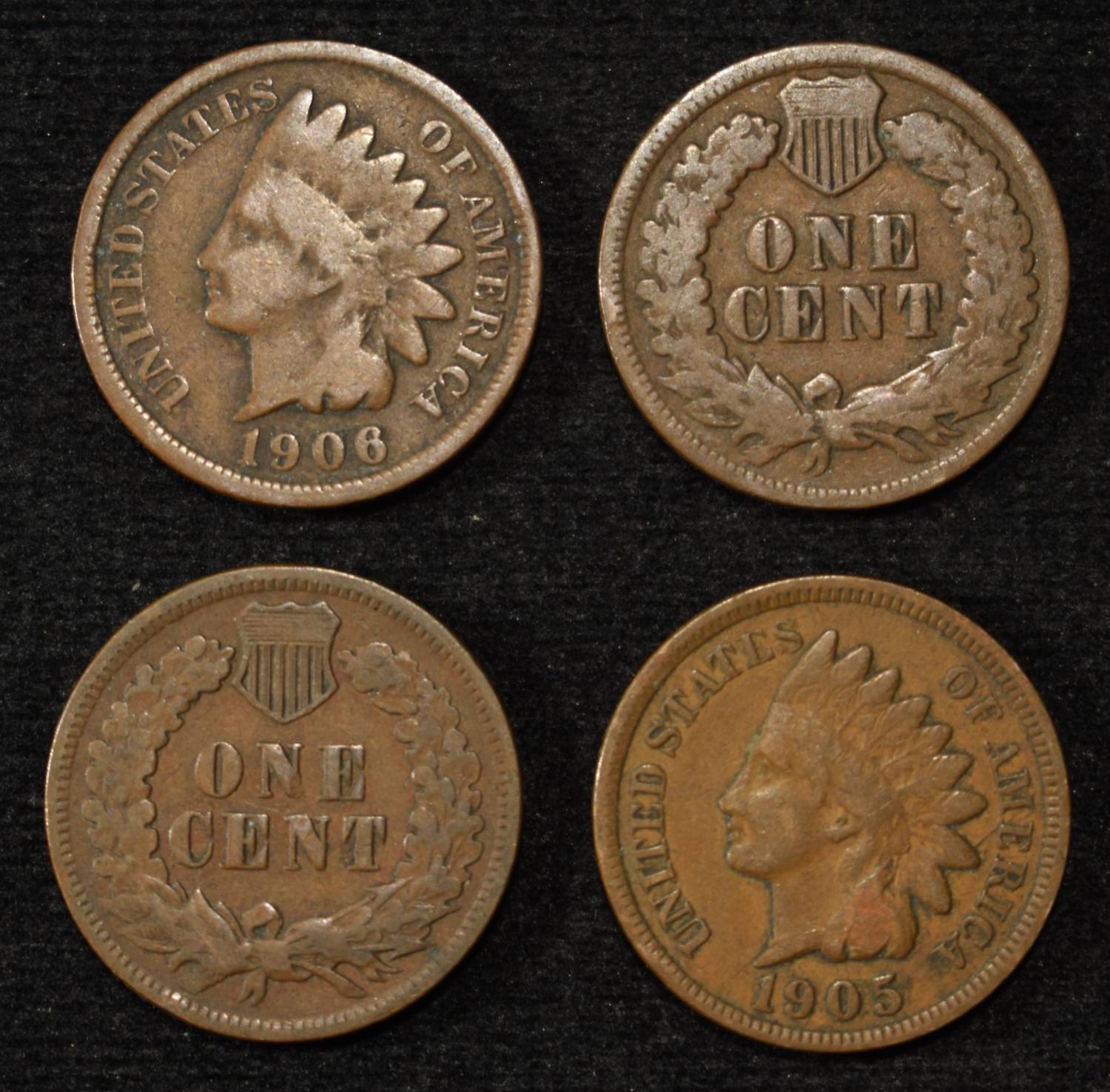 (50) INDIAN CENTS