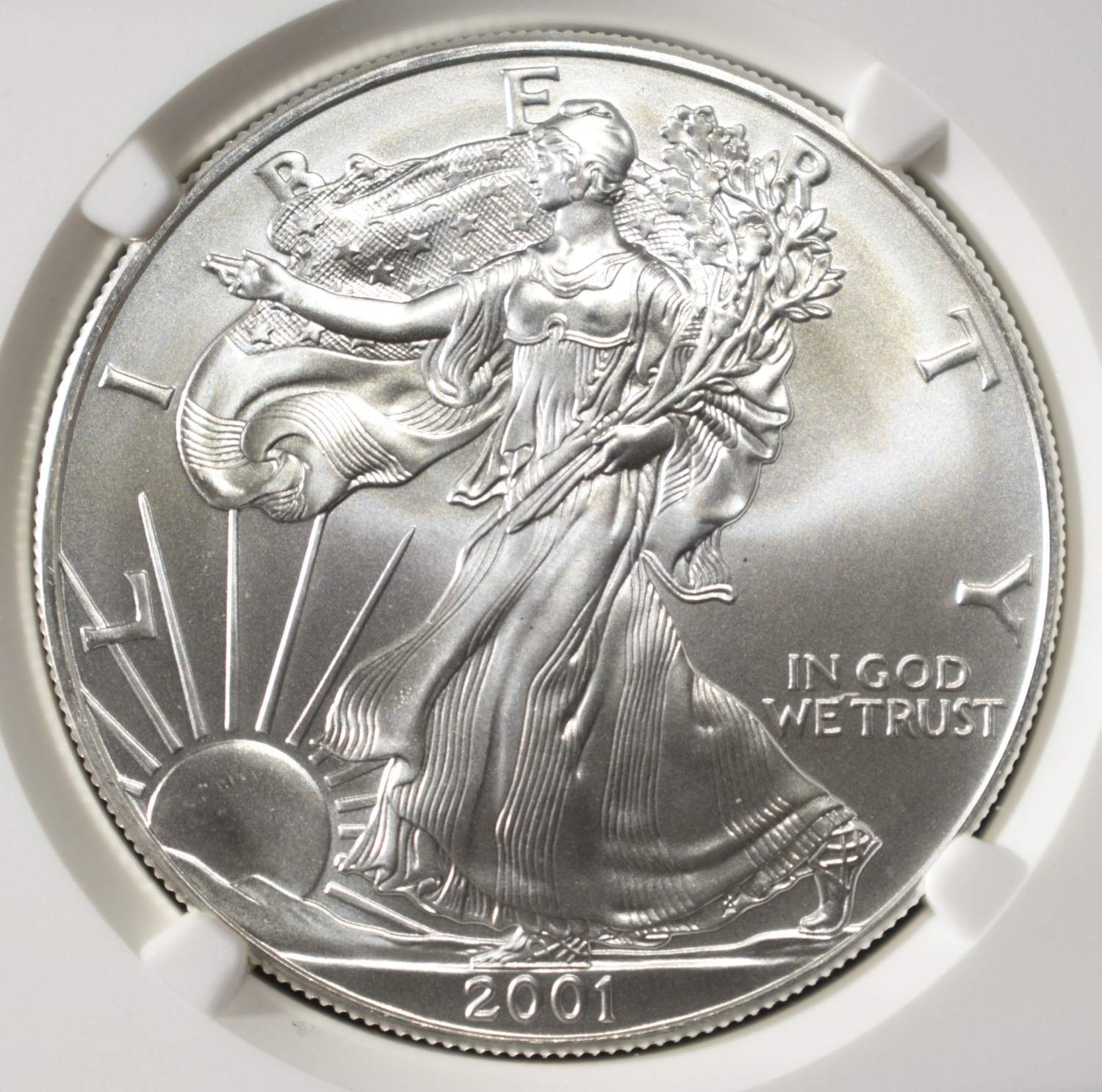 2001 AMERICAN SILVER EAGLE NGC MS69