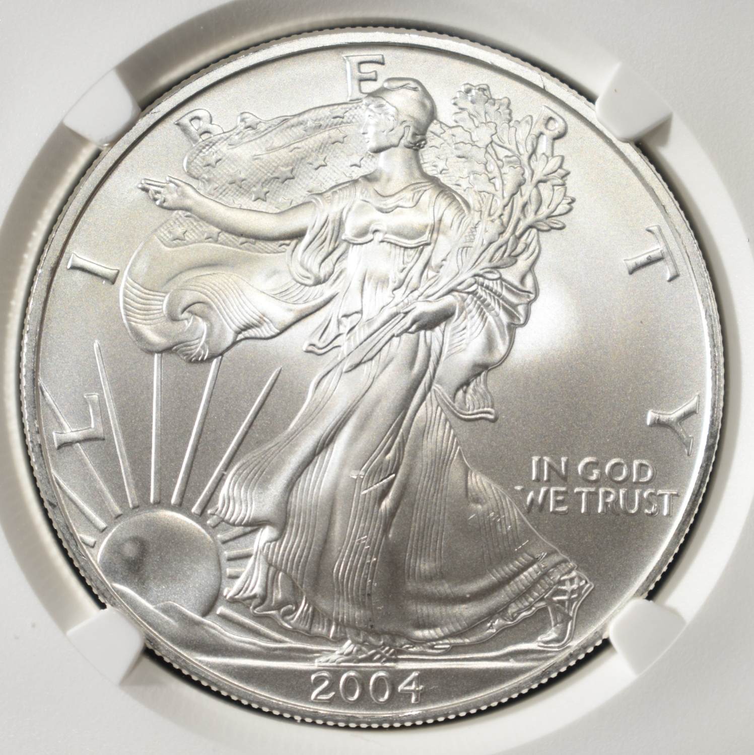 2004 AMERICAN SILVER EAGLE NGC MS69